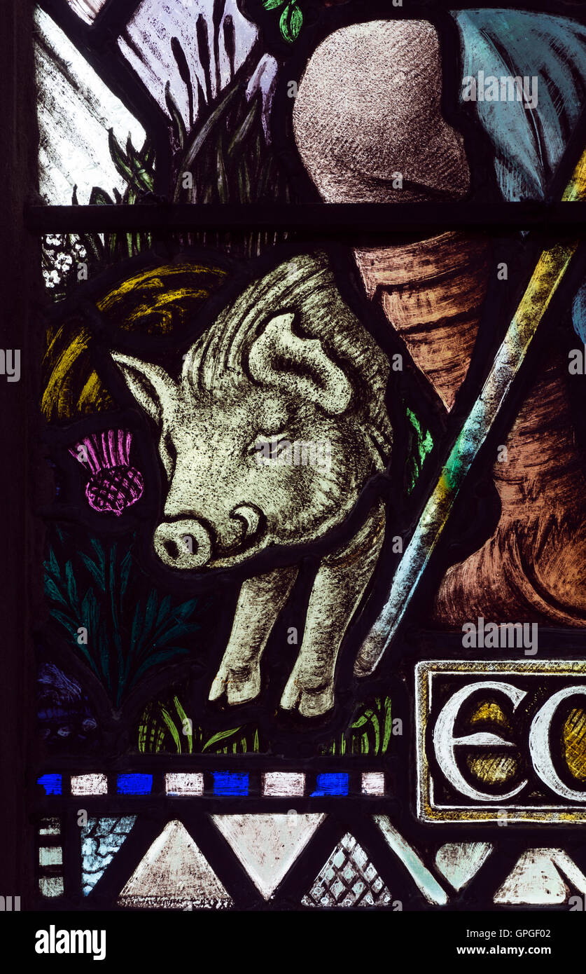 Boar stained glass detail by Albert Lemmon in St. Peter`s Church, Bengeworth, Evesham, Worcestershire, England, UK Stock Photo